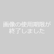 SM出会いサイト