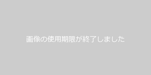 絶対奴隷