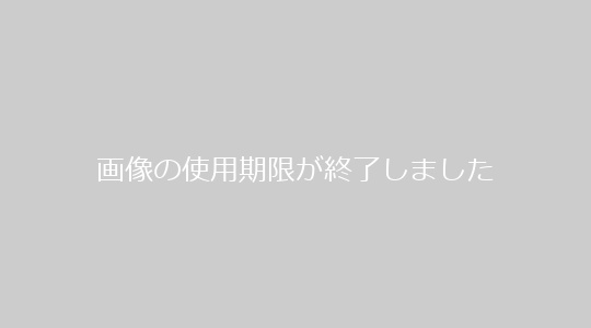 LOVE DOLL
