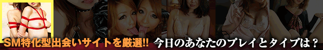 タイプとプレイ集