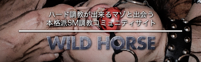 Wild_Horse