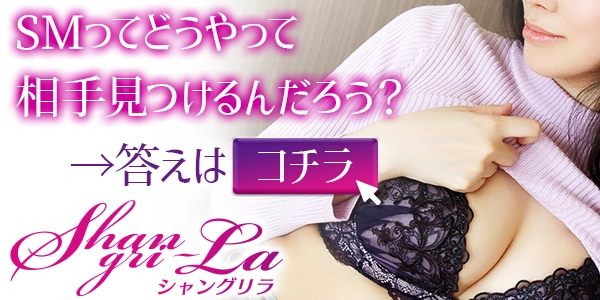 おすすめのパートナー募集サイト