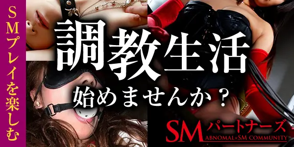 S女性とM男性の格闘プレイ