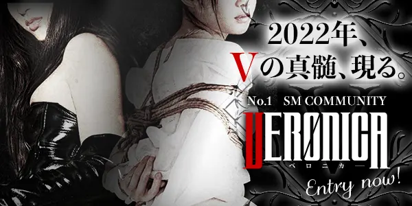 S女性とM男性の格闘プレイ