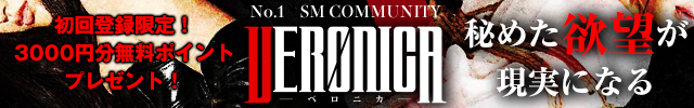 おすすめのパートナー募集サイト