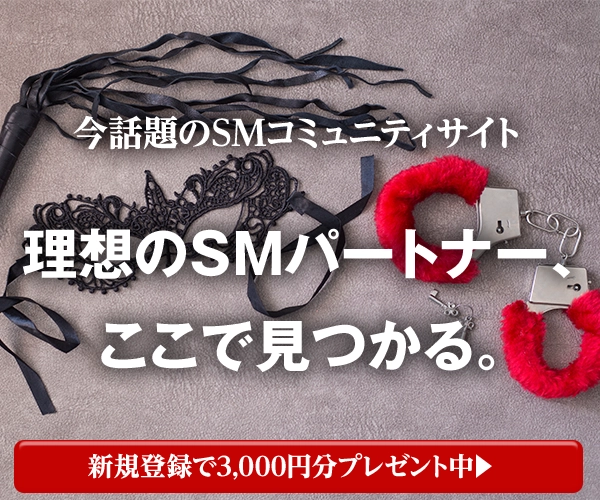 SMプレイ