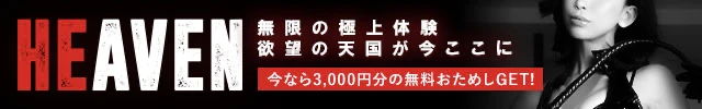 おすすめのパートナー募集サイト